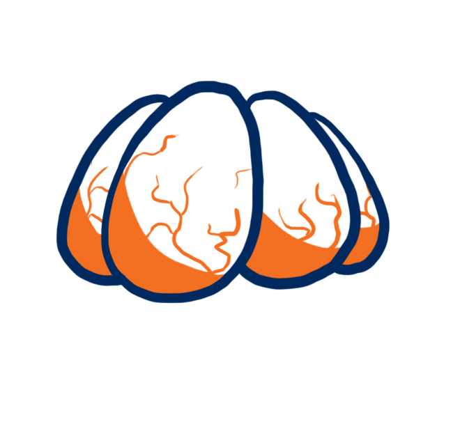 Denver Broncos Oysters Logo DIY iron on transfer (heat transfer)